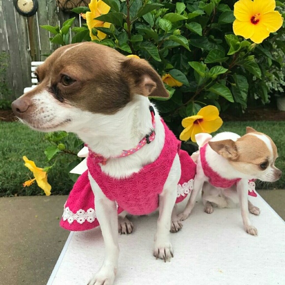 Meet Your Newby Posher, Meghan! - Picture 3 of 4